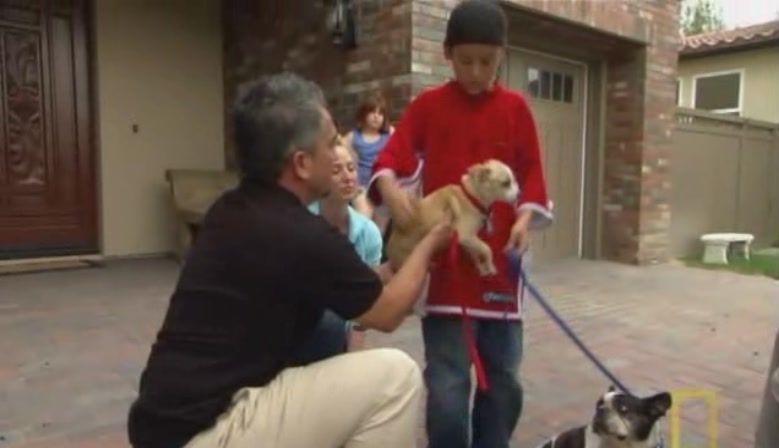 TheDogWhisperer_S03E02-303.jpg