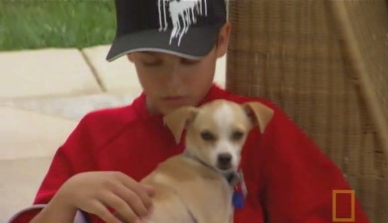 TheDogWhisperer_S03E02-431.jpg