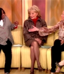 TalkShows2009_TheView-2.jpg